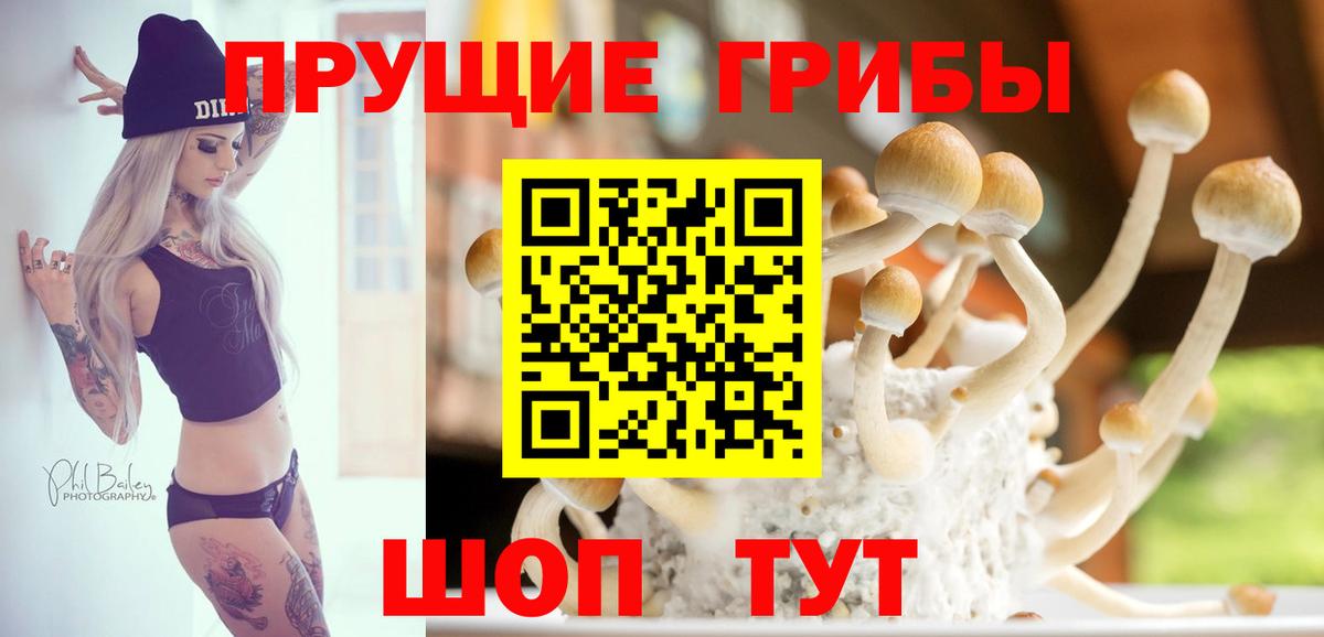Галлюциногенные грибы Cubensis Новочебоксарск